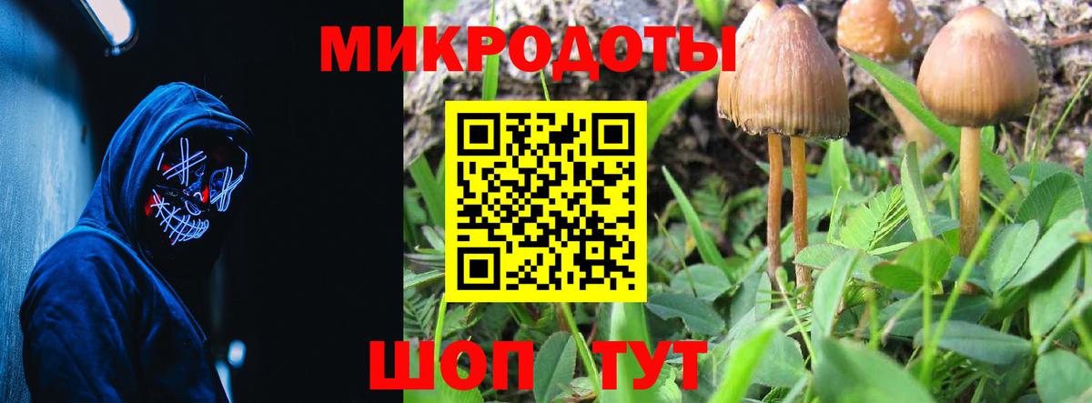 цены   Вход с VPN  Рыбинск  Галлюциногенные грибы мицелий  Псилоцибиновые грибы прущие грибы 